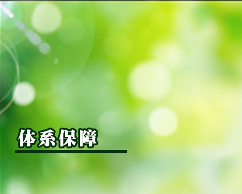 體系保障