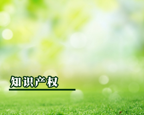 知識(shí)產(chǎn)權(quán)