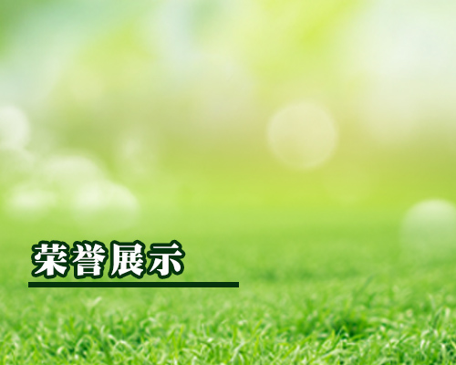 榮譽(yù)展示